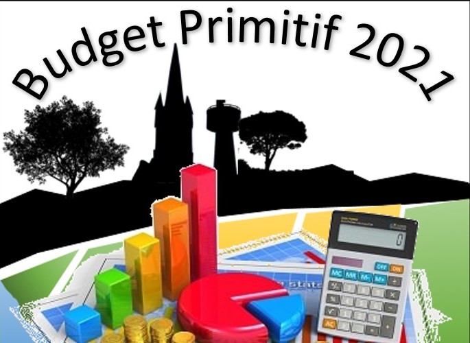 budget primitif 2021