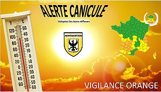 CANICULE 2024